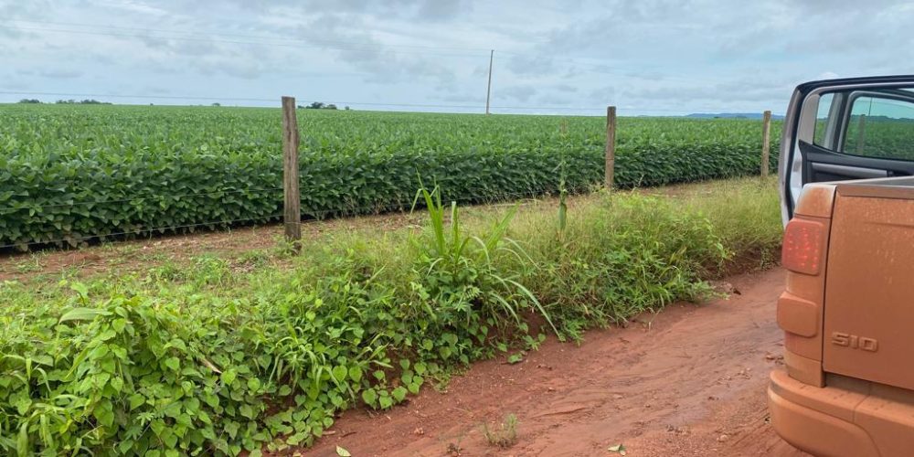 Fazenda Vila Rica 4