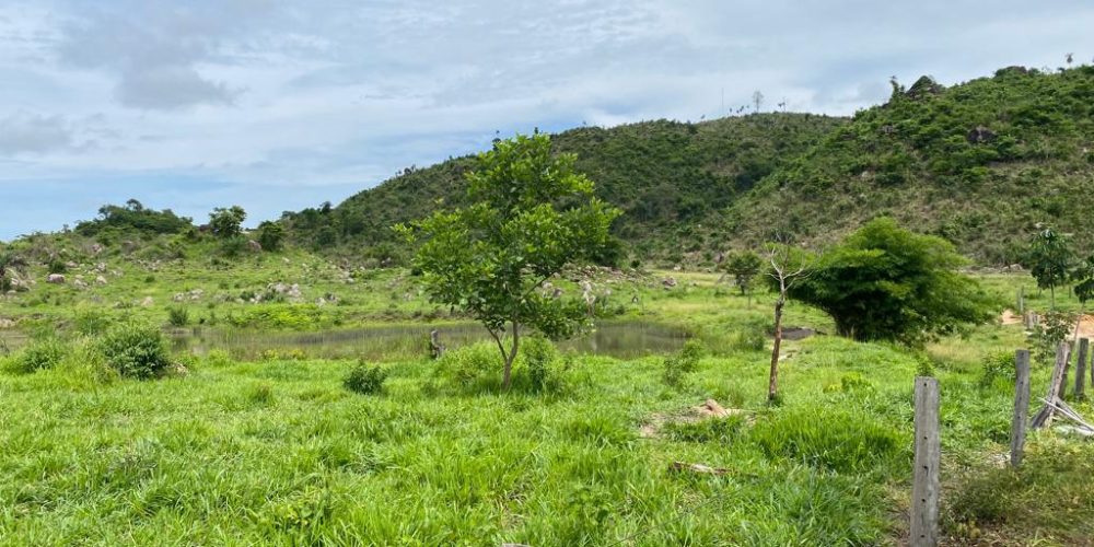 Fazenda Vila Rica 8