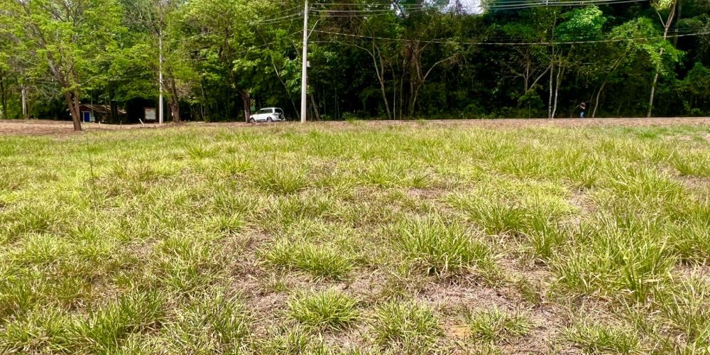 WhatsApp Image 2025-10-14 at 17.24.30 (1)