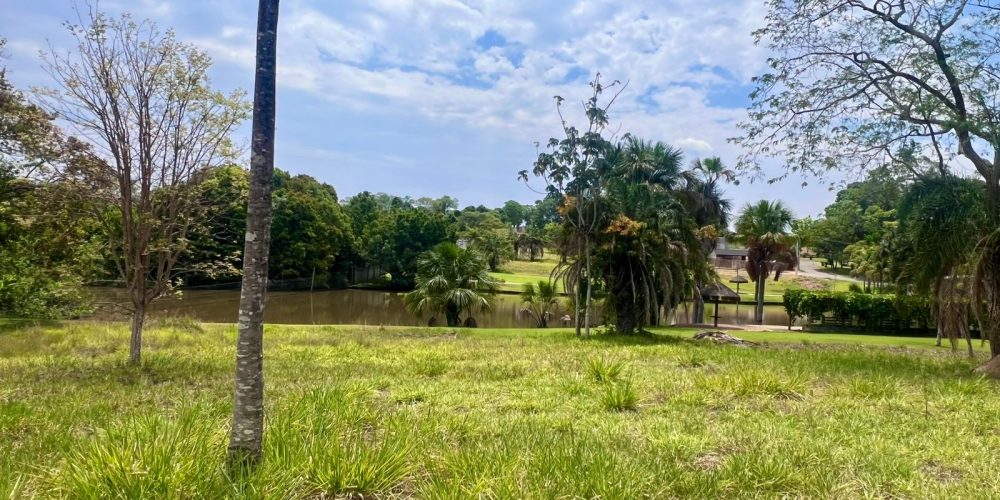 WhatsApp Image 2025-10-14 at 17.24.30 (2)