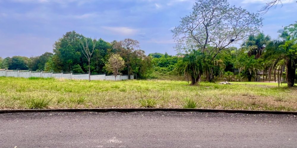 WhatsApp Image 2025-10-14 at 17.24.30 (3)