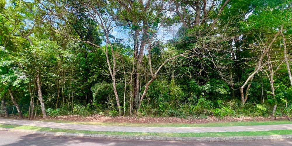 WhatsApp Image 2025-10-14 at 17.24.30 (4)