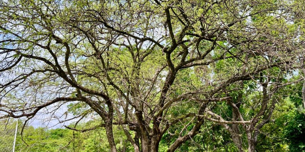 WhatsApp Image 2025-10-14 at 17.24.32 (3)