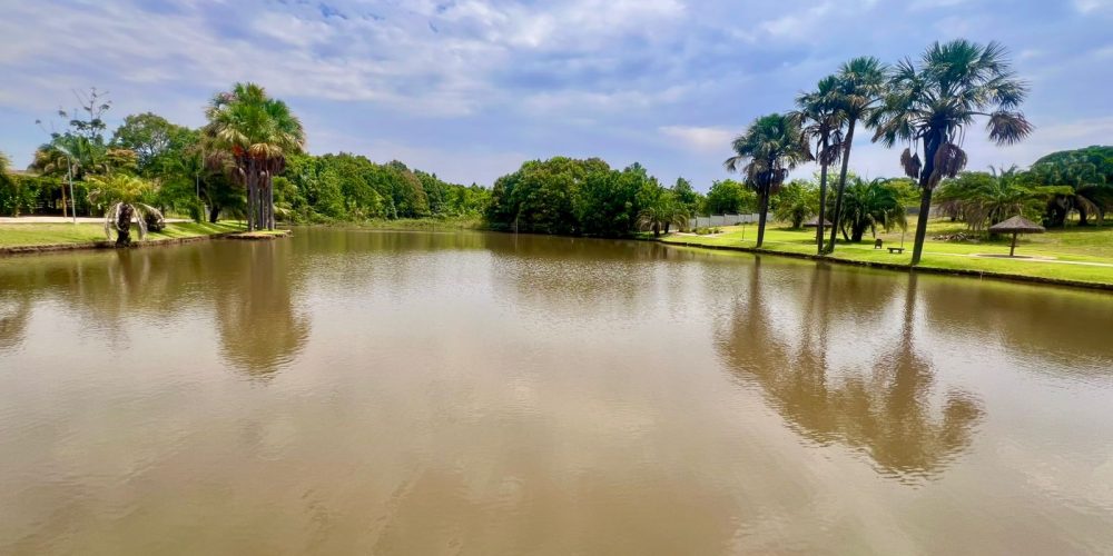 WhatsApp Image 2025-10-14 at 17.27.50